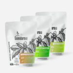 Kit Cítricos Guanabara Café