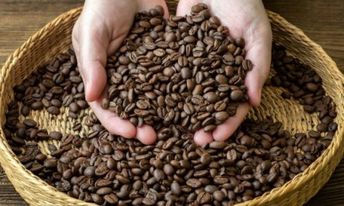 WhatsApp Image 2024-09-11 at 17.56.21